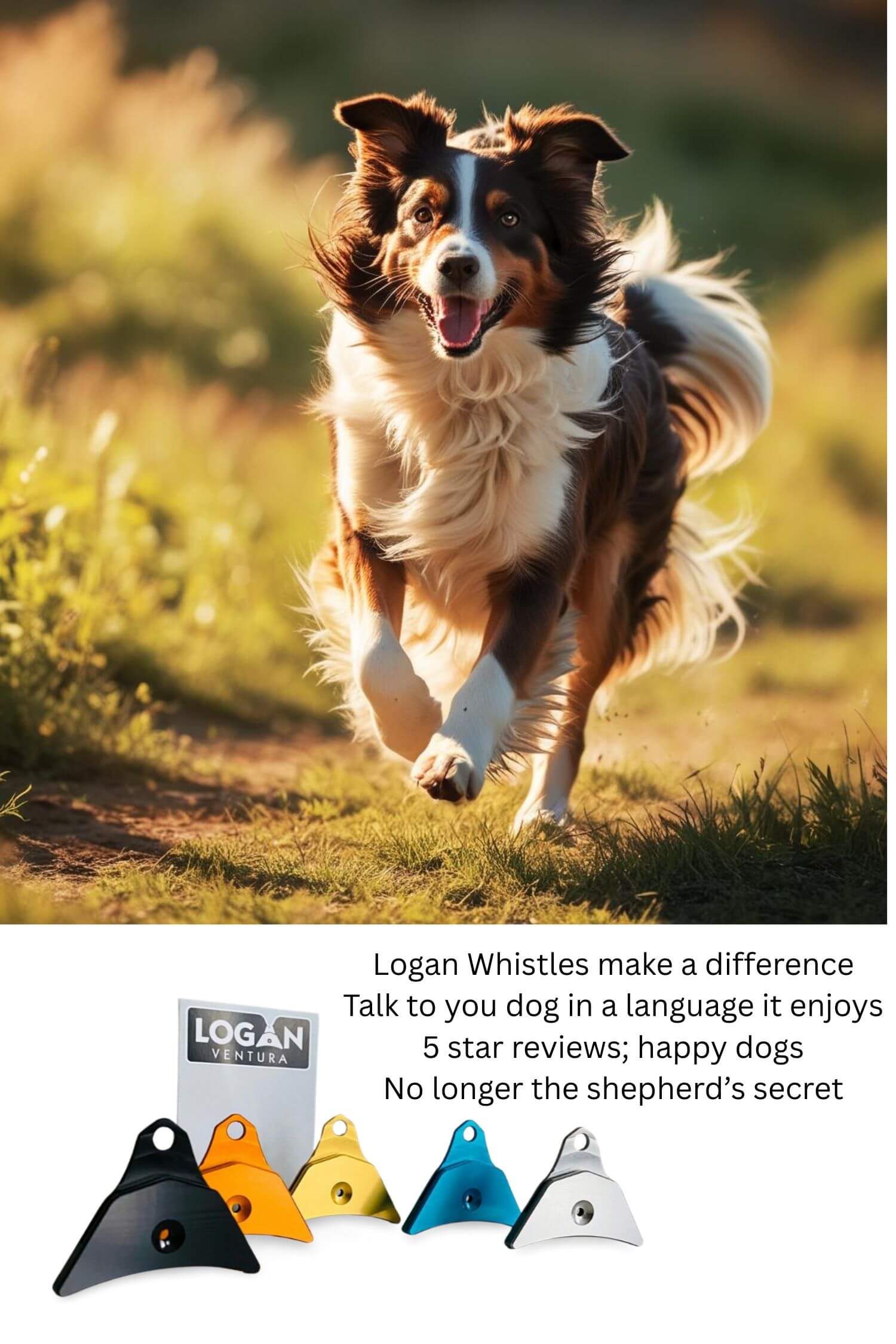 Logan Ventura Sheep Dog Whistle - Lightweight