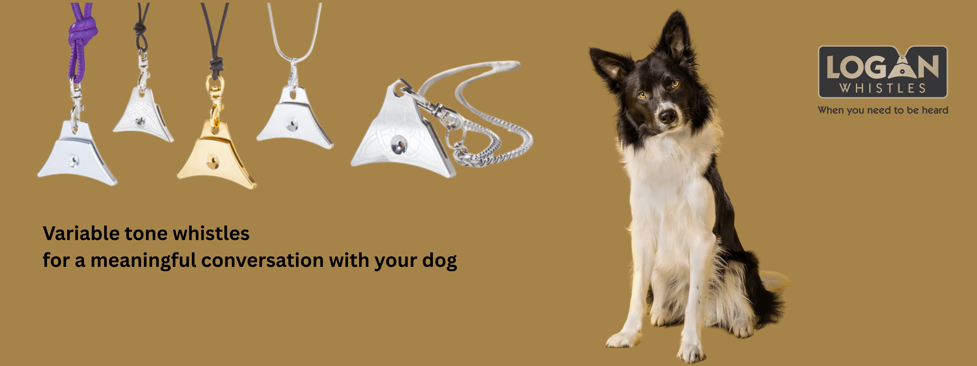 Logan sheepdog whistles and Logo with Border Collie dog on mustard colour background