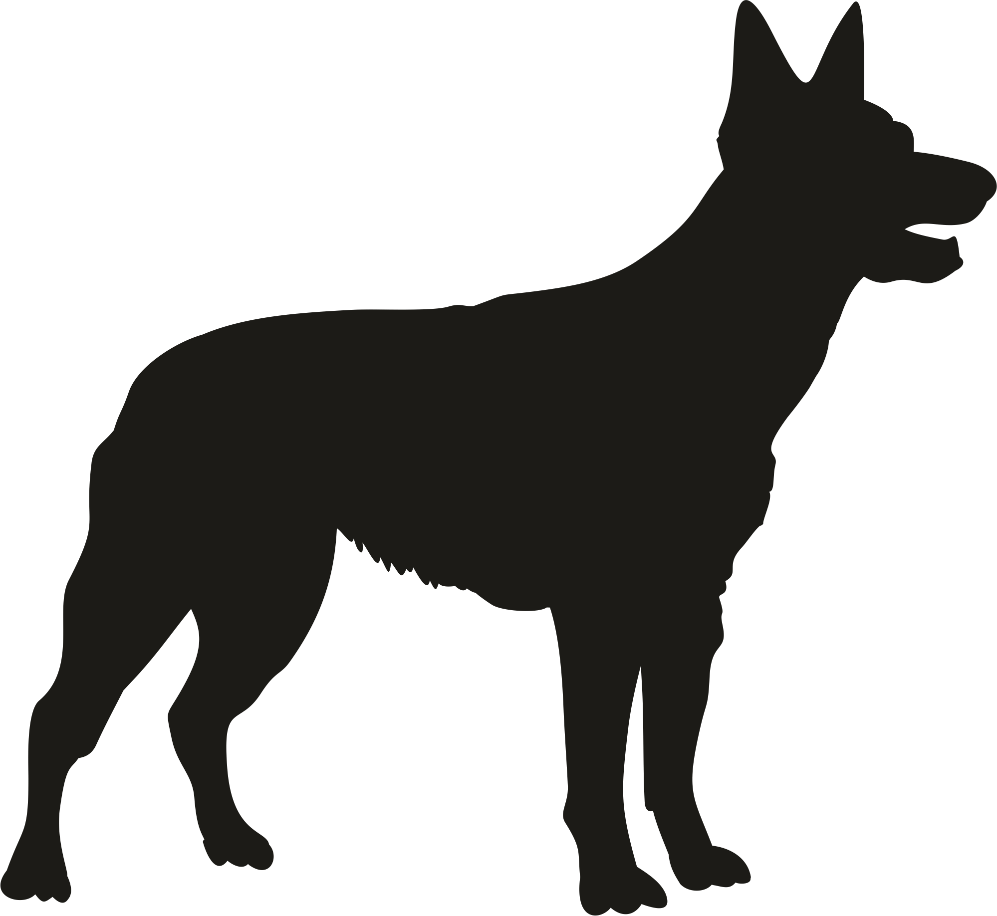 German Sheppard shadow
