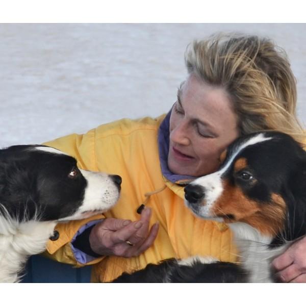 Border Collie Trainer