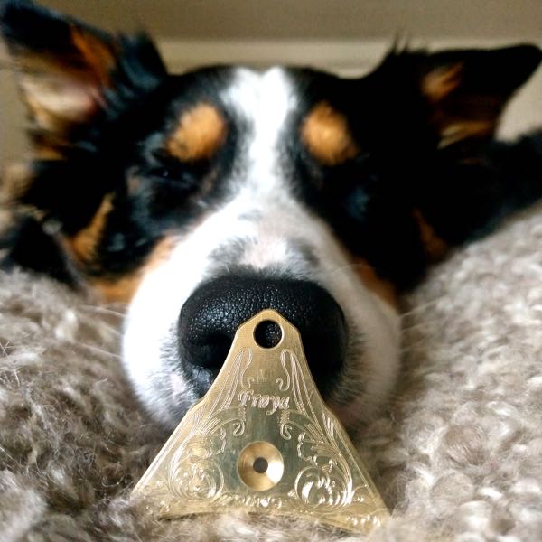 Border Collie and personalised brass whistle