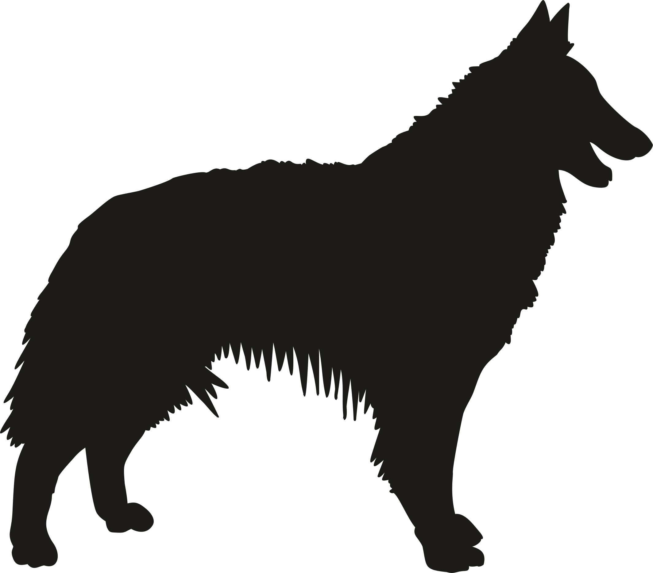 Belgia Tervuren shadow