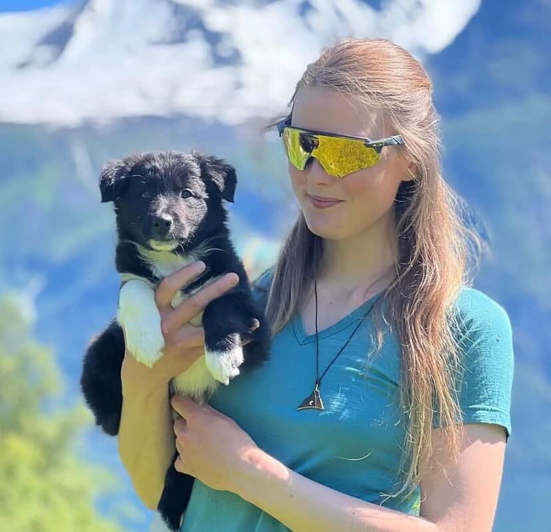 A dog trainer