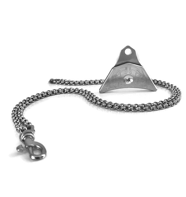 stainless steel whistle and chain lanyard