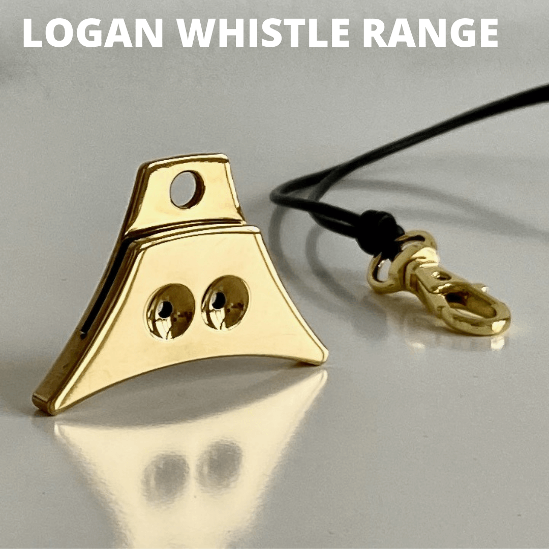 Logan Turbo Whistle and lanyard