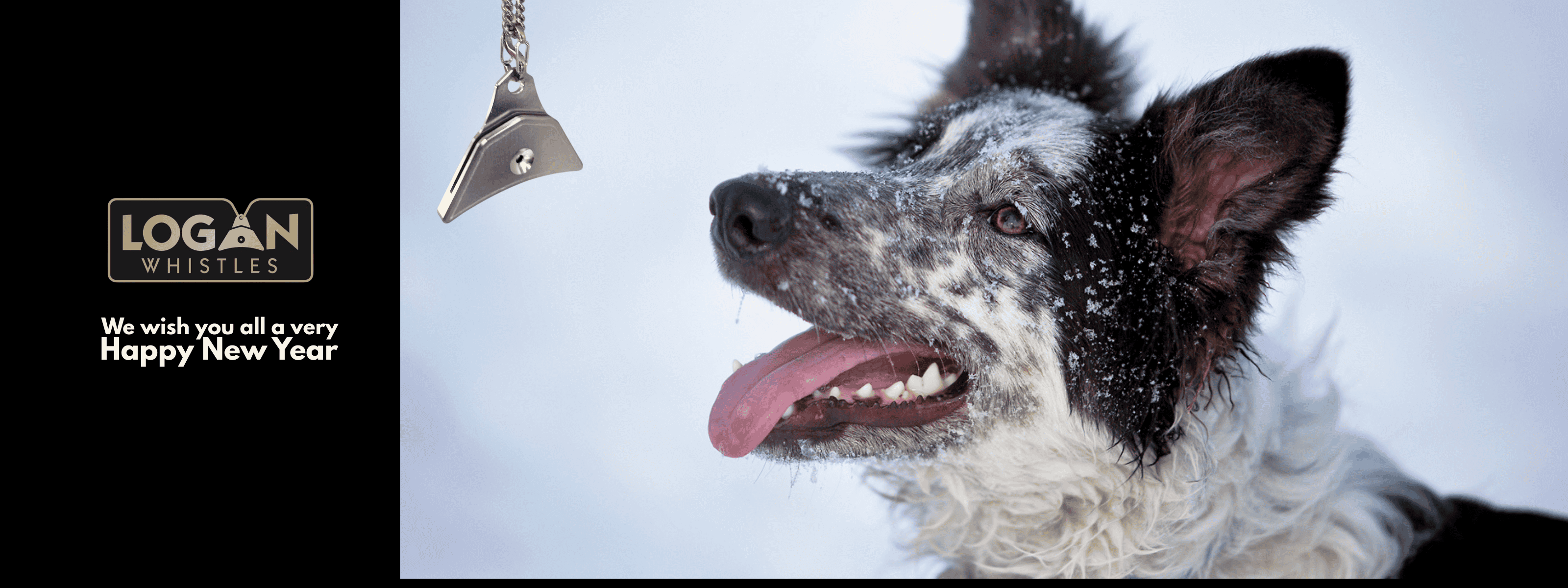 Dog with a LOGAN whistle in the snow, featuring the brand's New Year message.