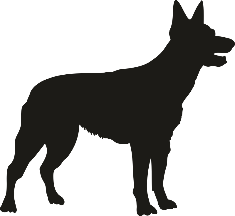 German Sheppard shadow