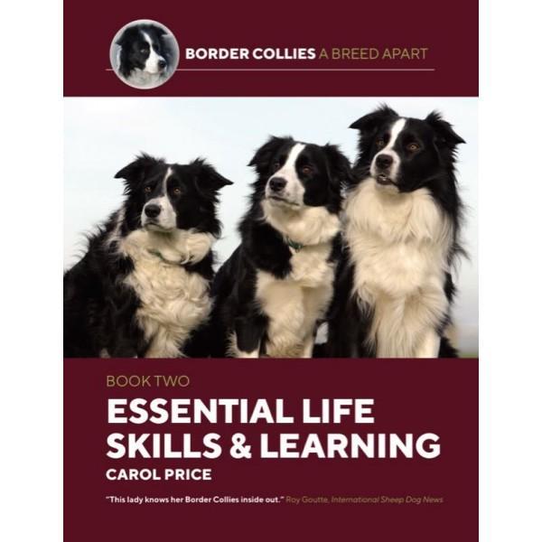 Border Collies A Breed Apart Part Two: Essential Life Skills And Learning