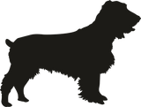 Spaniel shadow
