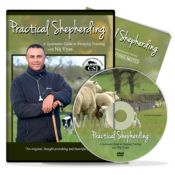 Practical Shepherding DVD by Nij Vyas