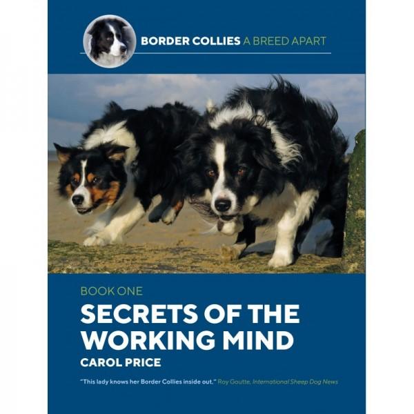 Secrets of the working mind
