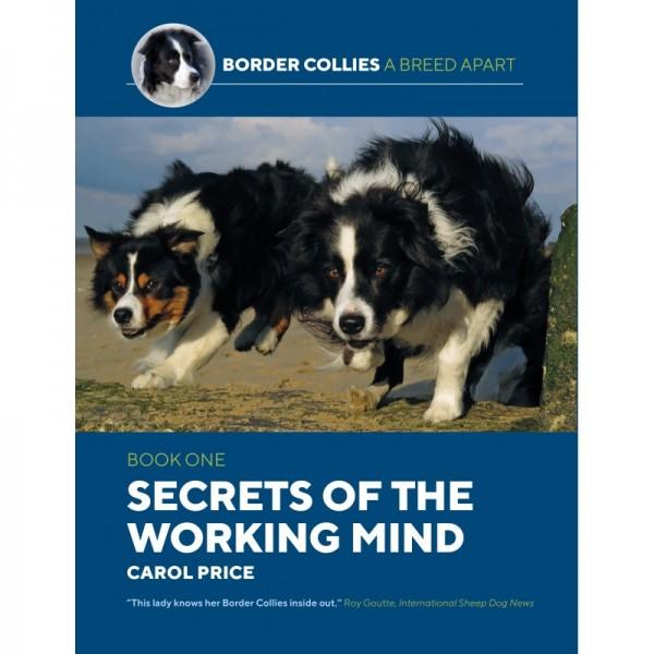 Border Collies A Breed Apart Part 1: Secrets Of The Working Mind