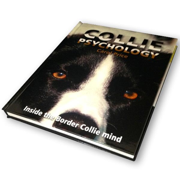 Collie Psychology: Inside the Border Collie Mind By Carol Price